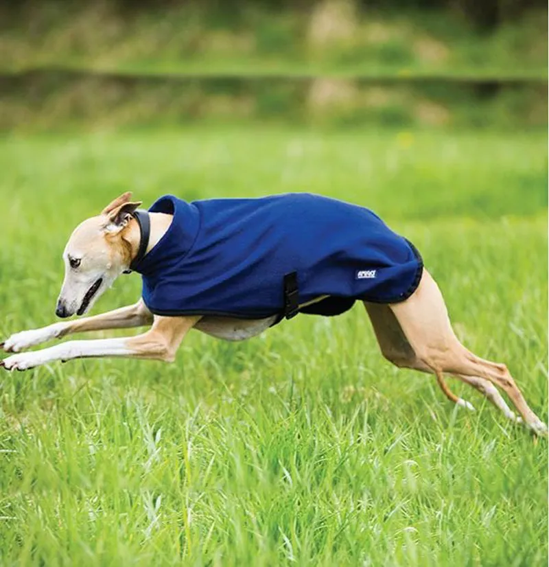 Horseware dog coat hot sale